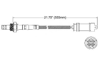 Oxygen Sensor O2 250-24125