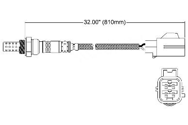 Oxygen Sensor O2 250-24408