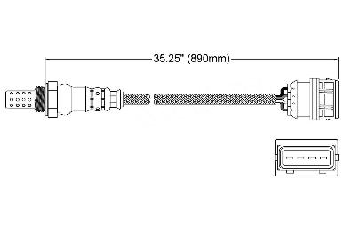 Oxygen Sensor O2 250-24415