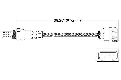 Oxygen Sensor O2 250-24428