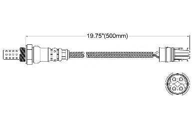 Oxygen Sensor O2 250-24465