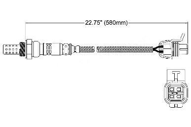 Oxygen Sensor O2 250-24488