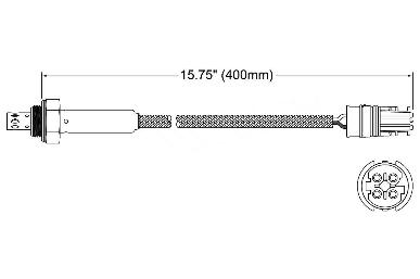 Oxygen Sensor O2 250-24516