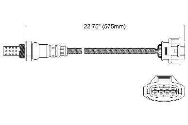 Oxygen Sensor O2 250-24648