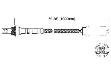 Oxygen Sensor O2 250-24677