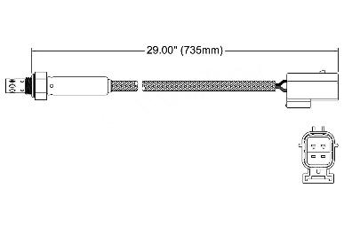 Oxygen Sensor O2 250-24817