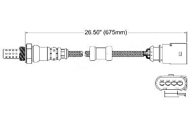 Oxygen Sensor O2 250-24955