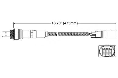 Oxygen Sensor O2 250-25062