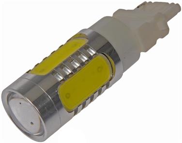 Back Up Light Bulb RB 3156W-HP