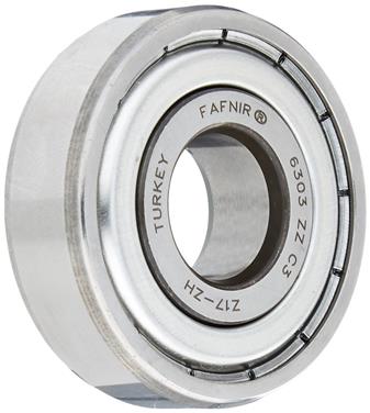 Manual Transmission Countershaft Bearing TM 303SS