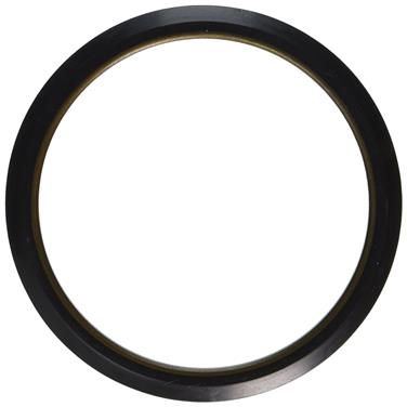 Axle Shaft Seal TM 710169