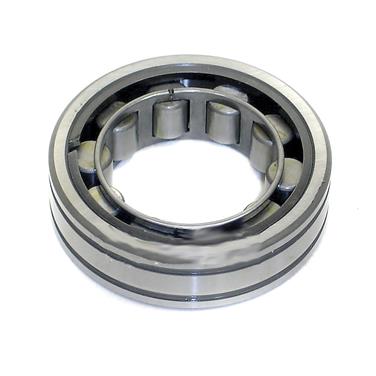 Differential Pinion Pilot Bearing TM M5204TV