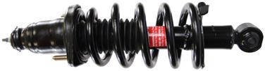 Suspension Strut and Coil Spring Assembly TS 171101L