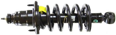 Suspension Strut and Coil Spring Assembly TS 171101R