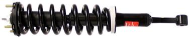 Suspension Strut and Coil Spring Assembly TS 171119L