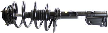 Suspension Strut and Coil Spring Assembly TS 171128L