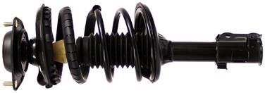 Suspension Strut and Coil Spring Assembly TS 171405