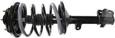 Suspension Strut and Coil Spring Assembly TS 171452