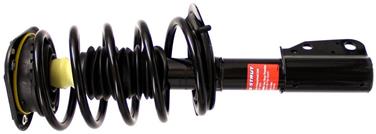 Suspension Strut and Coil Spring Assembly TS 171665