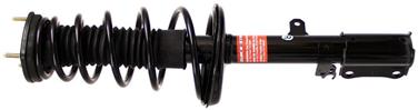 Suspension Strut and Coil Spring Assembly TS 171680