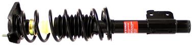 Suspension Strut and Coil Spring Assembly TS 171686