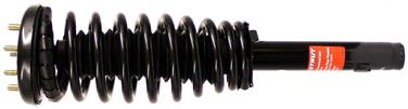 Suspension Strut and Coil Spring Assembly TS 171691L