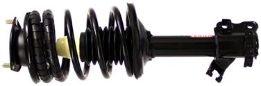Suspension Strut and Coil Spring Assembly TS 171900