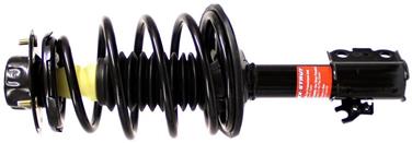 Suspension Strut and Coil Spring Assembly TS 171979