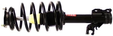 Suspension Strut and Coil Spring Assembly TS 172105