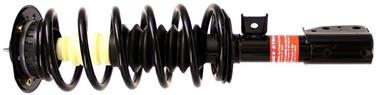 Suspension Strut and Coil Spring Assembly TS 172209