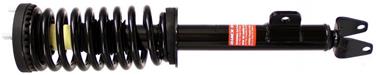 Suspension Strut and Coil Spring Assembly TS 172248