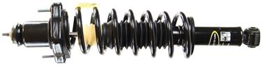 Suspension Strut and Coil Spring Assembly TS 172401