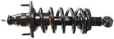 Suspension Strut and Coil Spring Assembly TS 172497R