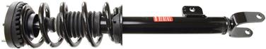 Suspension Strut and Coil Spring Assembly TS 172665