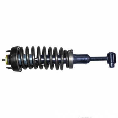 Suspension Strut and Coil Spring Assembly TS 181321