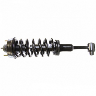 Suspension Strut and Coil Spring Assembly TS 181398