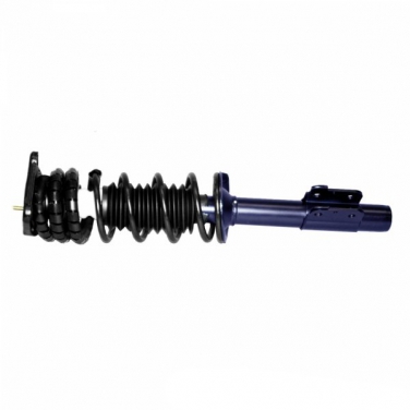 Suspension Strut and Coil Spring Assembly TS 181686