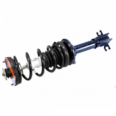 Suspension Strut and Coil Spring Assembly TS 181880