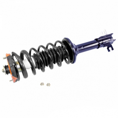 Suspension Strut and Coil Spring Assembly TS 181994