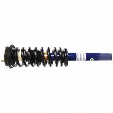 Suspension Strut and Coil Spring Assembly TS 182123R