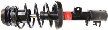 Suspension Strut and Coil Spring Assembly TS 271555