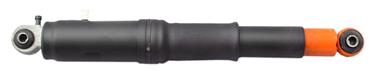 Shock Absorber TS 40034