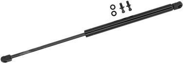 Hood Lift Support TS 901648