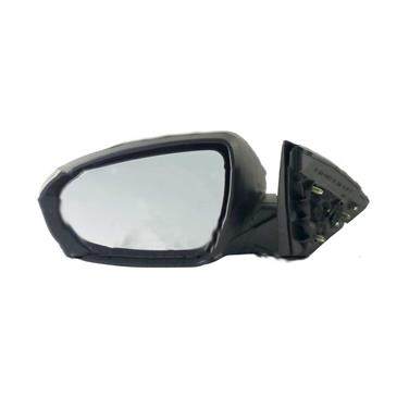 Door Mirror TY 8170152