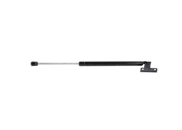 Back Glass Lift Support Z1 4815