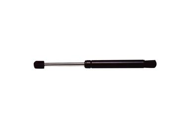 Hood Lift Support Z1 6478