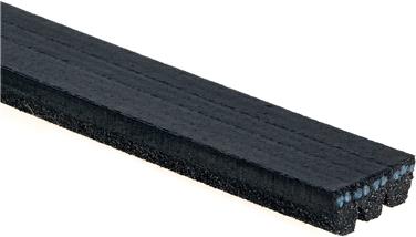 Serpentine Belt ZO K030309SF