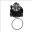 Engine Water Pump G6 125-6010