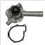 Engine Water Pump G6 147-2120