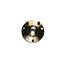 Wheel Bearing and Hub Assembly G6 730-0017